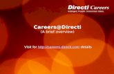 Careers at Directi, Introduction