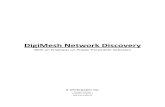 Wireless Mesh Network Discovery White Paper