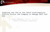 Enabling the CFO as the Chief Profitability Officer Across the Company to Manage ROIC and EVA