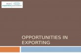 Irish exporters presentation