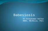 Dr. Vinay Babesiosis