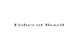 Spix Agassiz Brazilian Fishes.pdf