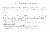 Chapter 5- DNA Modifying Enzymes