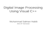 10480768 Digital Image Processing Using Visual C
