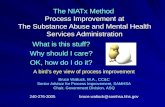 NIATx and Process Improvement at SAMHSA 09 15 08