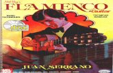 Flamenco Guitar Basic Techniques - Juan Serrano