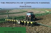Corporate farming pakistan