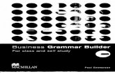 Business Grammar Builder-Viny