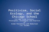 02 positivism social eco chicago school
