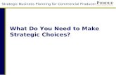 What Do you Need to Make Strategic Choices?