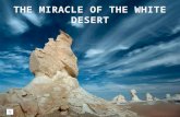 The Miracle Of The White Desert