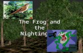 Frog and Nightingale