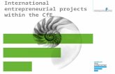 International entrepreneurial projects within the cf e