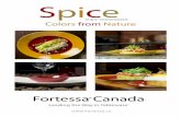 Spice Bifold Canada