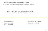 CoP 101: An Informal Newcomers’ Guide   to the UNFCCC Climate Change Meeting Process