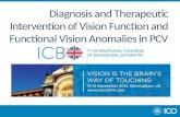 Diagnosis and Therapeutic Intervention of Vision Function and Functional Vision Anomalies in Pediatric Cortical Visual Impairment
