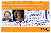 Supporting Open Education Policy Making by Higher Education Institutions in The Netherlands; lessons learned