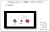 Hemagglutination Inhibition assay