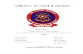 Capital Market Project PDF
