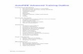 AutoPIPE Advanced Training Outline