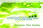 2012 Green Tie Gala Program Booklet