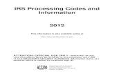 2012-IRS Processing Codes Manual - 6209-1