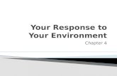Chapter 4 your response to your environment