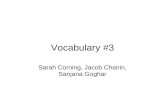Vocabulary 3 by_sarah_corning_sanjana_goghar