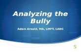 Analyzing the Bully