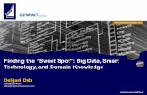 Finding the “Sweet Spot”: Big Data, Smart Technology, and Domain Knowledge
