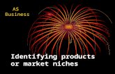 Identifying products or market niches