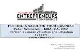 Peter Weinstein Valuing a Business Presentation
