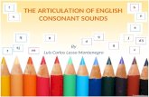 The articulation of consonant sounds