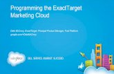Programming the ExactTarget Marketing Cloud