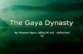 Gaya Final Project