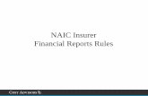 NAIC Insurer Financial Reports Rules