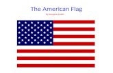 The american flag