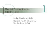 Racial disparaties in Chronic Kidney Diseases