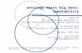 ontology meets big data:immutability