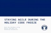 Webinar: Staying Agile during the Holiday Code Freeze, Sept 2013 with Windsor Circle and Tealium