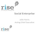 Social Enterprise and the Social Enterprise Mark - Big Society & Localism