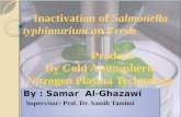 samar ghazawi >>cold plasma >> my seminar>>2012/2013