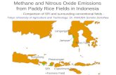 0890  Methane and Nitrous Oxide Emissions from Paddy Rice Fields in Indonesia- Comparison of SRI and Surrounding Conventional Fields