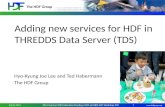 Adding new servicees for HDF in THREDDS Data Server (TDS)