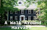 Walk Around Harvard - Photo Shoot 1