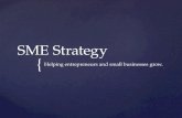 About SME Strategy