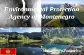 Environmental Protection Agency Of Montenegro