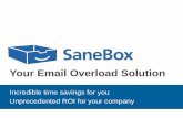SaneBox overview 2014