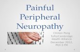 Painful peripheral neuropathy