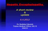 Hepatic encephalopathy, short review & update
